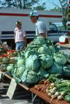 Waterloo County Farmers' Market, Cabbage Vendor