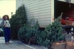 Waterloo County Farmers' Market, Christmas Trees