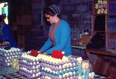 Waterloo County Farmers' Market, Herst's Eggs