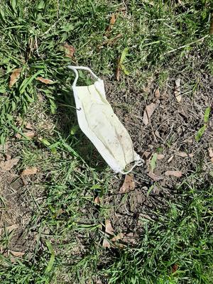 Discarded Mask on Grass, Waterloo