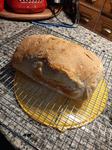 Sourdough Bread Baking During COVID-19