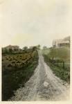 Rural landscape with a dirt road leading up to several houses