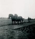 Horse-drawn harvester with farmer