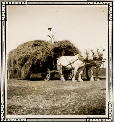 A woman standing on a pile of hay, on a horse drawn hay cart