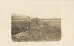 Three men working in a field