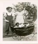 A boy and girl with a baby carriage of puppies