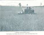 Photograph of harvesting