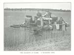 Nearside view of the auto header harvester