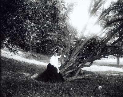 Woman By Tree