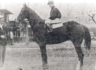 Seagram Family Racing Stables