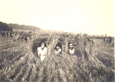 Men and Women in Hayfield