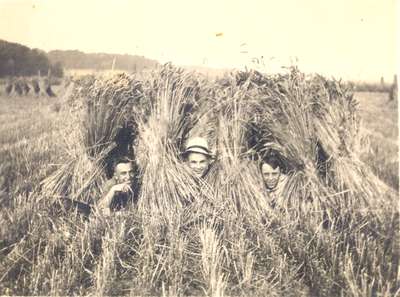 Men in Hayfield