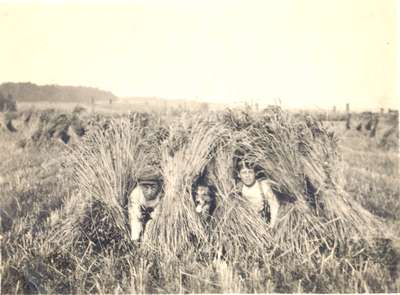 Boys and Dog in Hayfield