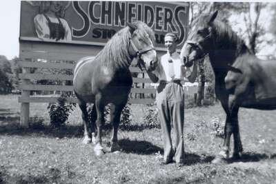 Man with Horses, Waterloo, Ontario