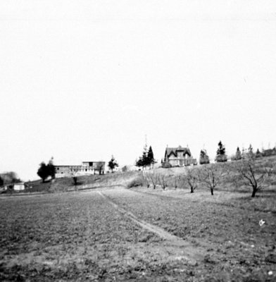 John Rice Farm, 1954