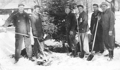 Planting Trees in Grass Park, 1955