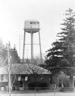 Kinsmen Park Water Tower, 1979