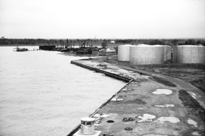 Whitby Harbour, 1959