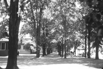 Heydenshore Park in Summer, c.1956