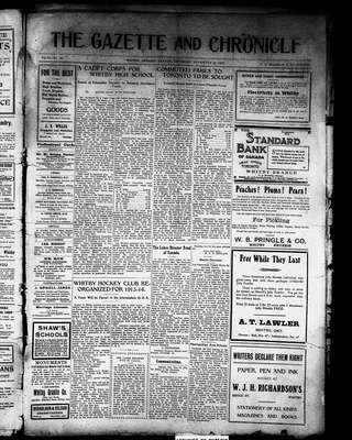 Whitby Gazette and Chronicle (1912), 20 Nov 1913