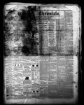 Whitby Chronicle, 4 Jan 1866