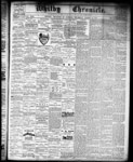 Whitby Chronicle, 14 Mar 1878