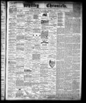 Whitby Chronicle, 25 Jul 1878