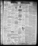 Whitby Chronicle, 8 Aug 1878