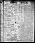 Whitby Chronicle, 14 Nov 1878