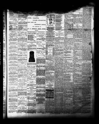 Whitby Chronicle, 24 Aug 1882