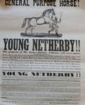Young Netherby