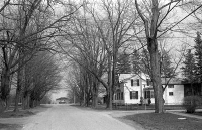 Mill Street (Cassels Road), April 1976