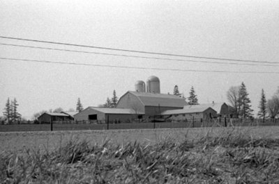 Batty Farm, April 1976