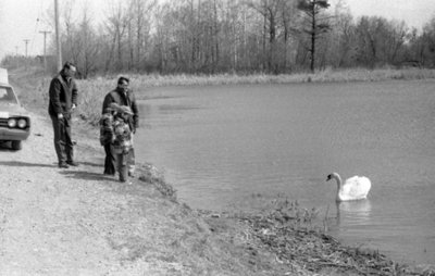 Lynde Creek Marsh, April 1976