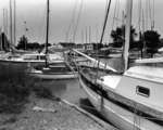 Whitby Yacht Club