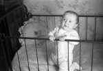 Maguire Baby, c.1931