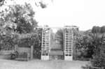 Cormack Garden, July 1937