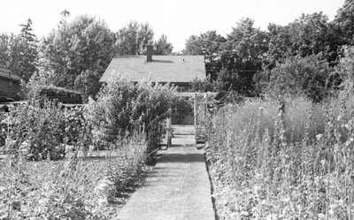 Cormack Garden, July 1937