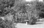 Cormack Garden, July 1937