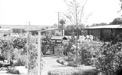 Cormack Garden, July 1937