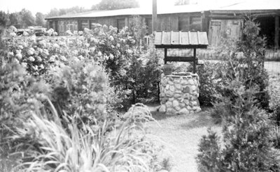 Cormack Garden, July 1937