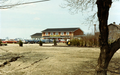 Weall and Cullen Nurseries, 2003