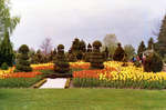 Topiary Garden at Cullen Gardens