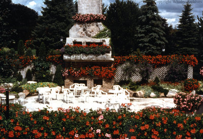 The Garden in the Ruins