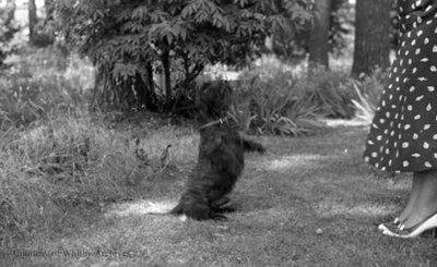 Miss. Phillip's Dog, c.1937