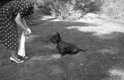 Miss. Phillip and Dog, c.1937