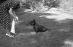Miss. Phillip and Dog, c.1937