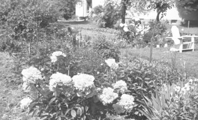 Garden at Inverlynn, June 1936