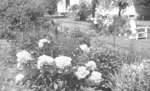 Garden at Inverlynn, June 1936