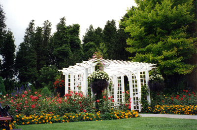 Arbour at Cullen Gardens